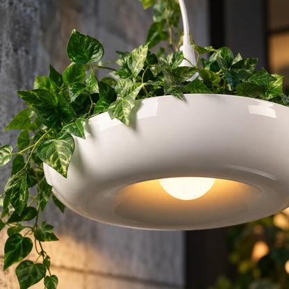 Suspension luminaire plantes rampantes
