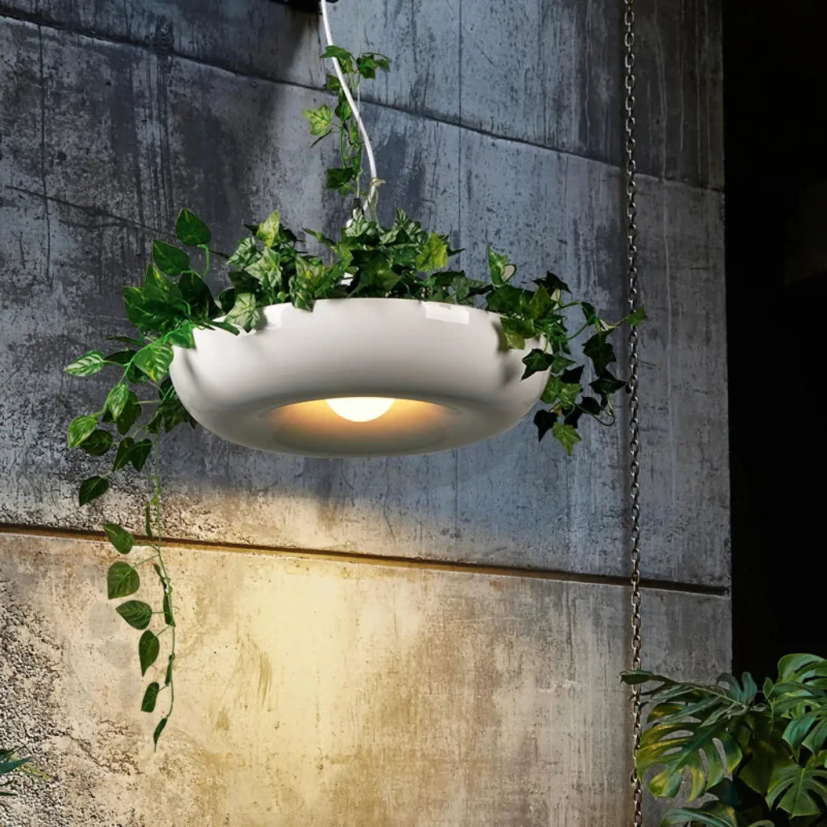Suspension luminaire plantes rampantes