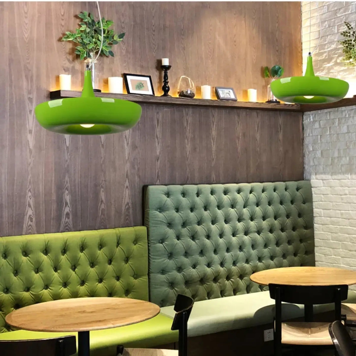 Suspension luminaire plantes rampantes